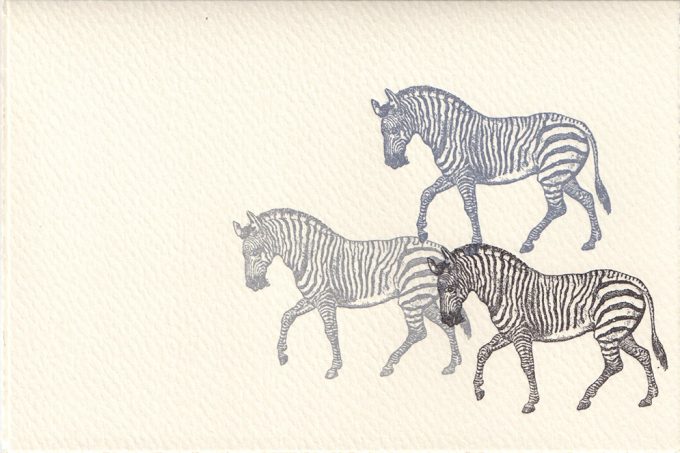 Zebras