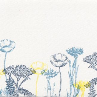 Sommerwiese, klein