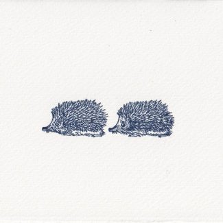 Zwei Igel