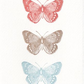 Schmetterlinge
